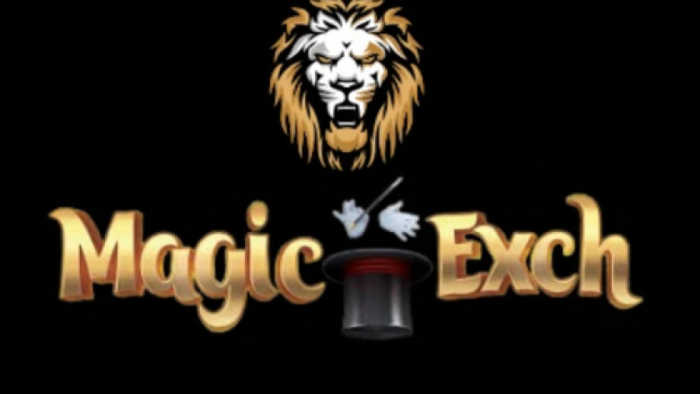 Why Magicexch is the Ultimate Gaming Platform for Sports Enthusiasts