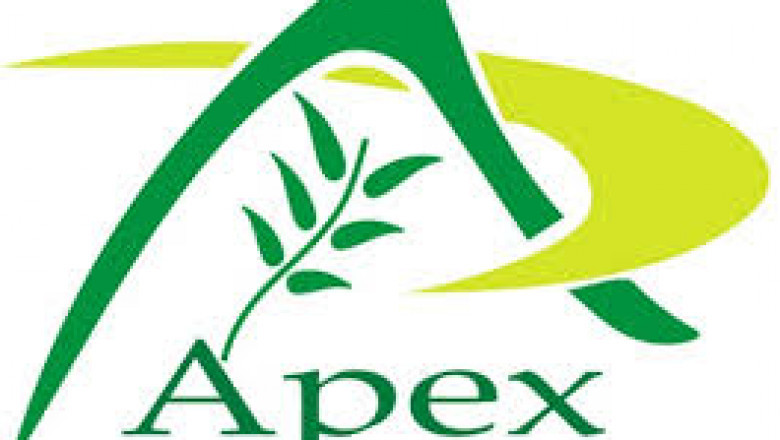 Senna Leaves, Pods Manufacturer, Exporters, Supplier India - Apexherbex