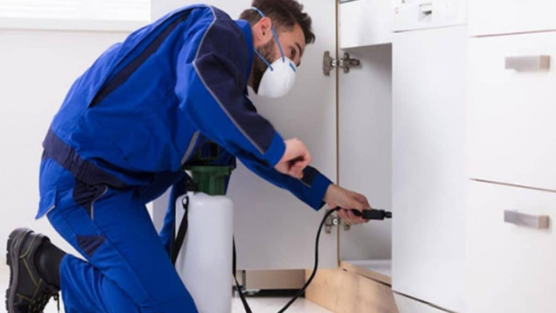 Comprehensive Termite Control Services & Rodent Pest Control