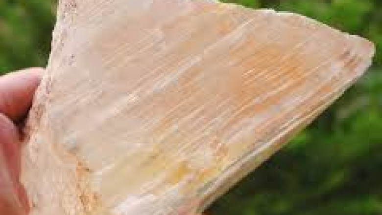 Global Stone Gypsum Market Report: Trends, Opportunities, and Forecast 2025–2031