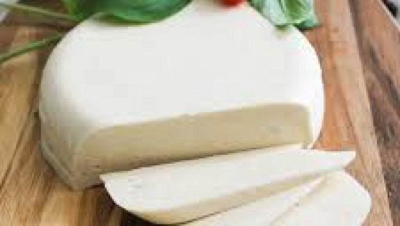 Global Vegan Cheese Market Report: Trends, Opportunities, and Forecast 2025–2031