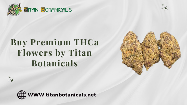Buy Premium THCa Flowers by Titan Botanicals