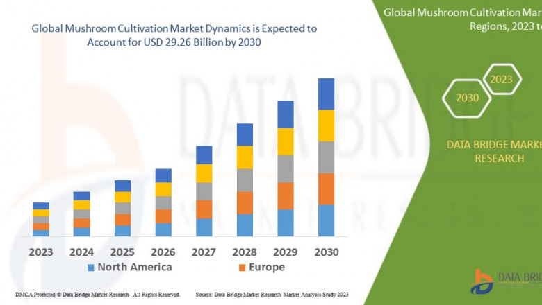 Mushroom Cultivation Market Cultivating Growth with Rising Demand for Sustainable and Nutrient-Rich Food Sources