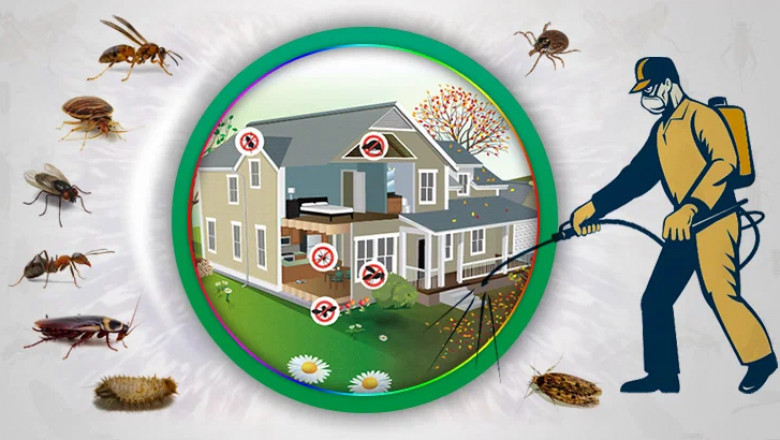 Safeguarding Your Home from Insect Invasions: Prevention and Control Strategies