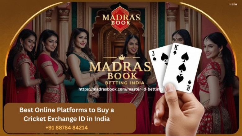 Why Super Master IDs Are in High Demand During IPL & T20 Seasons