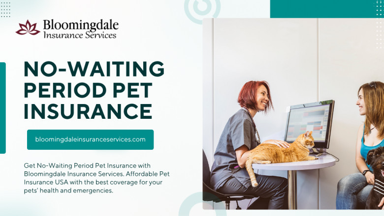 No-Waiting Period Pet Insurance: Protect Your Pet with Bloomingdale Insurance Services