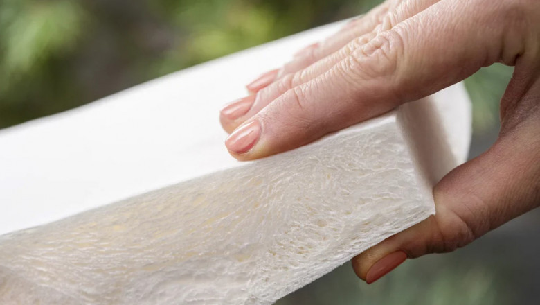 Bio-based Foam Market Trends Highlight Strategic Collaborations Boosting Commercialization and Product Development