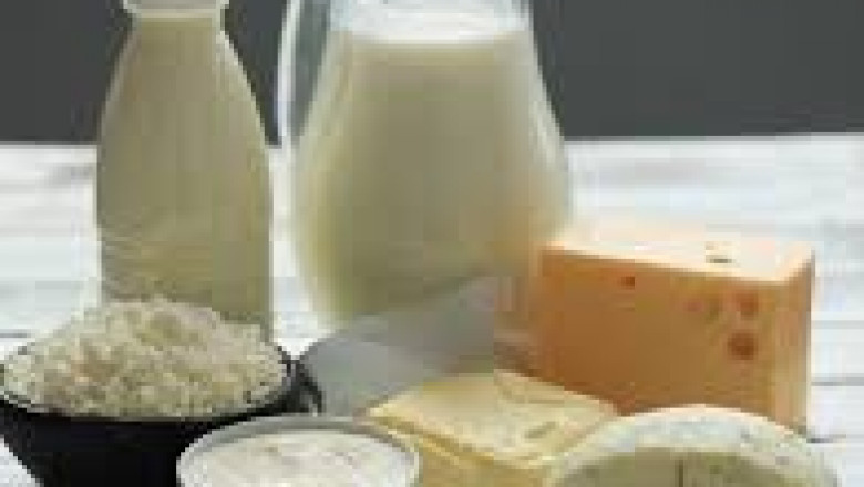Milk Ingredients Market Future Outlook: Trends, Opportunities, and Growth Drivers