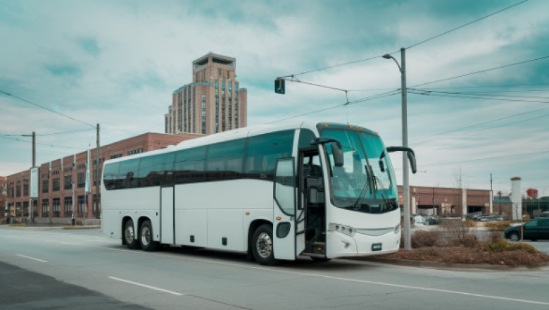 Safe, Reliable School Bus Rentals for Field Trips, Camps, and More