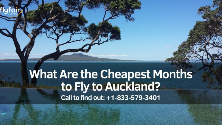 What Are the Cheapest Months to Fly to Auckland?