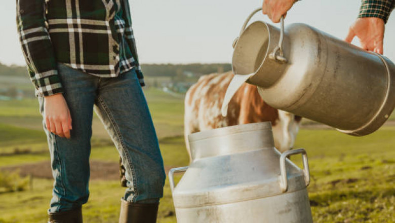 Dairy Container Market Opportunities Shaped by Technological Advances and Rising Dairy Product Consumption