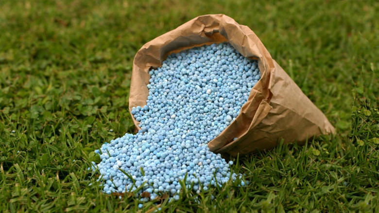 Foliar Fertilizers Market Drivers Stem from Increasing Use of Micronutrient Sprays for Disease Resistance and Crop Health