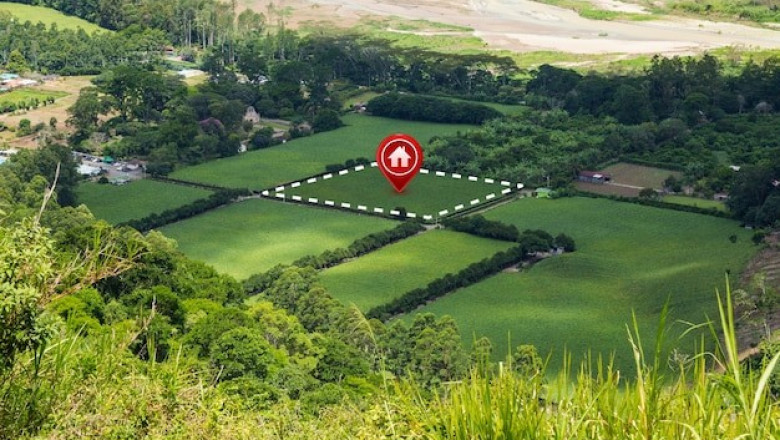 Professional Property Surveyors