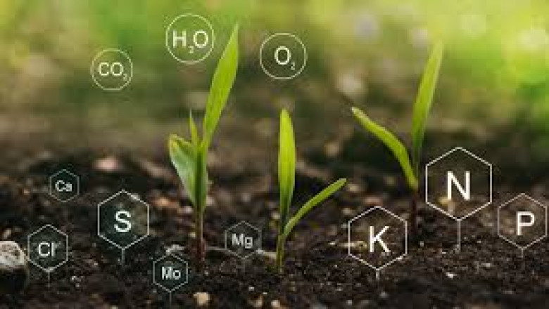Agricultural Biologicals Market transforming food production with environmentally responsible alternatives