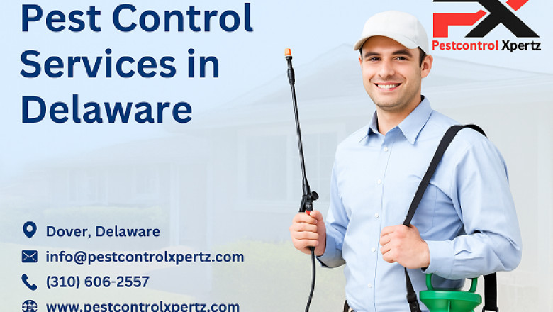 Common Pests in Middletown and How to Keep Them Out