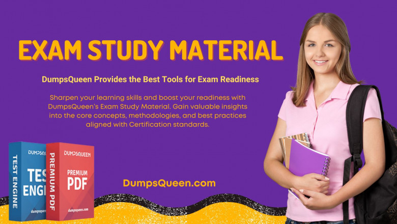 DumpsQueen Makes Study Planning Easy with Organized Materials