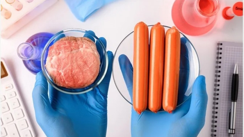Synthetic Food Manufacturing Project Cost: Comprehensive Project Analysis and Manufacturing Process