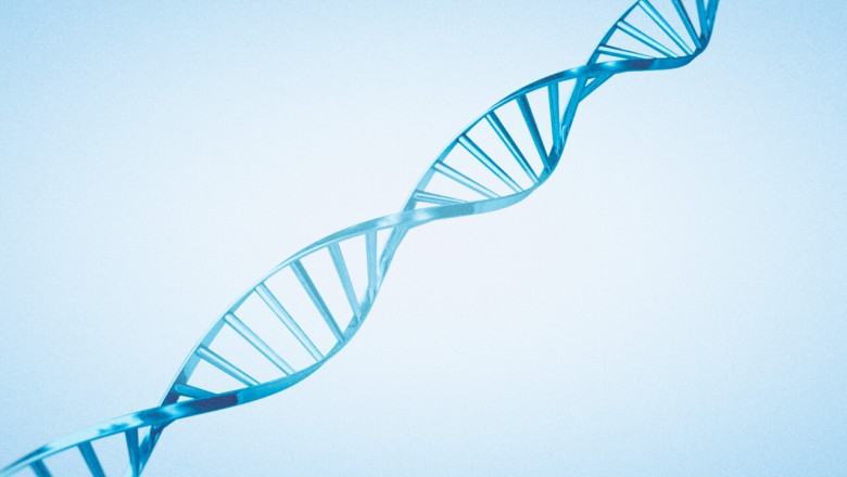 Gene Switch Market Size, Forecast, and Investment Trends