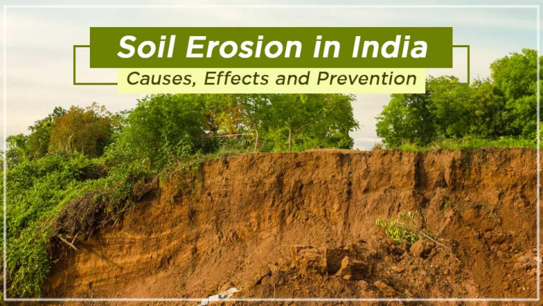 Learn about the Causes, Effects, and Prevention of Soil Erosion