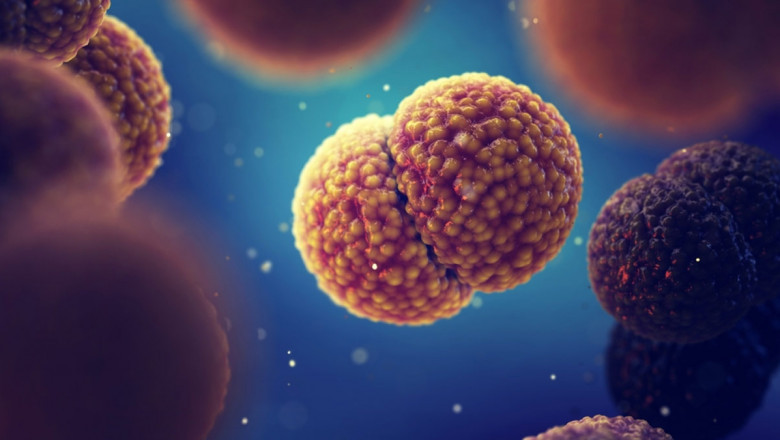 Meningococcal Disease Treatment Market Soars with mRNA Vaccine Advancements