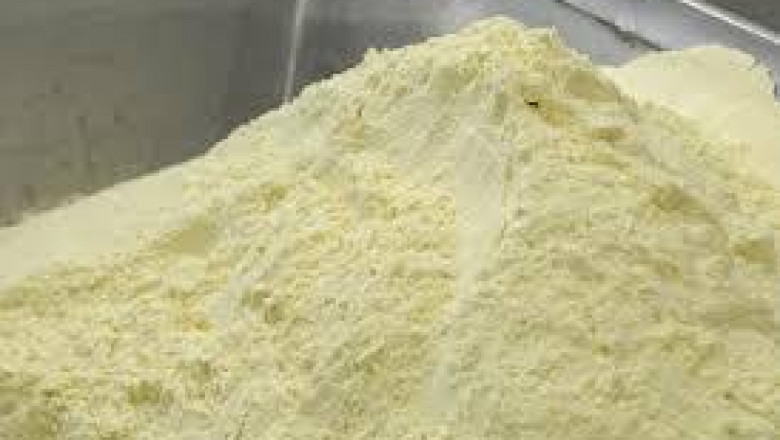 Deproteinized Whey Market reviewing logistics challenges and global supply chain efficiency models