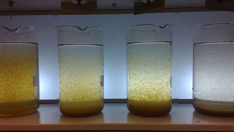 Flocculant and Coagulant Market Price Trends and Procurement Strategies