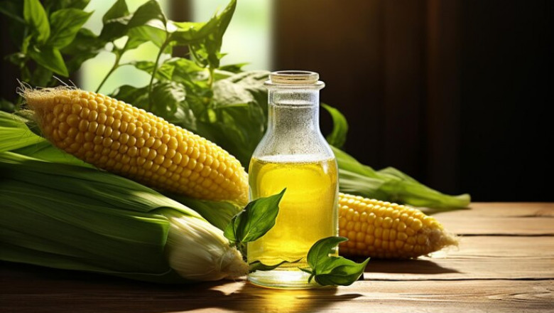 Corn Oil Market Landscape: Growing Trends and Sustainable Development Driving Global Demand