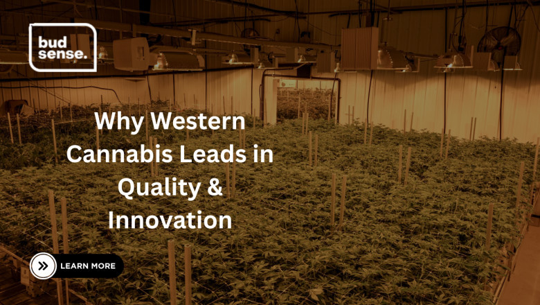 Why Western Cannabis Leads in Quality &amp; Innovation