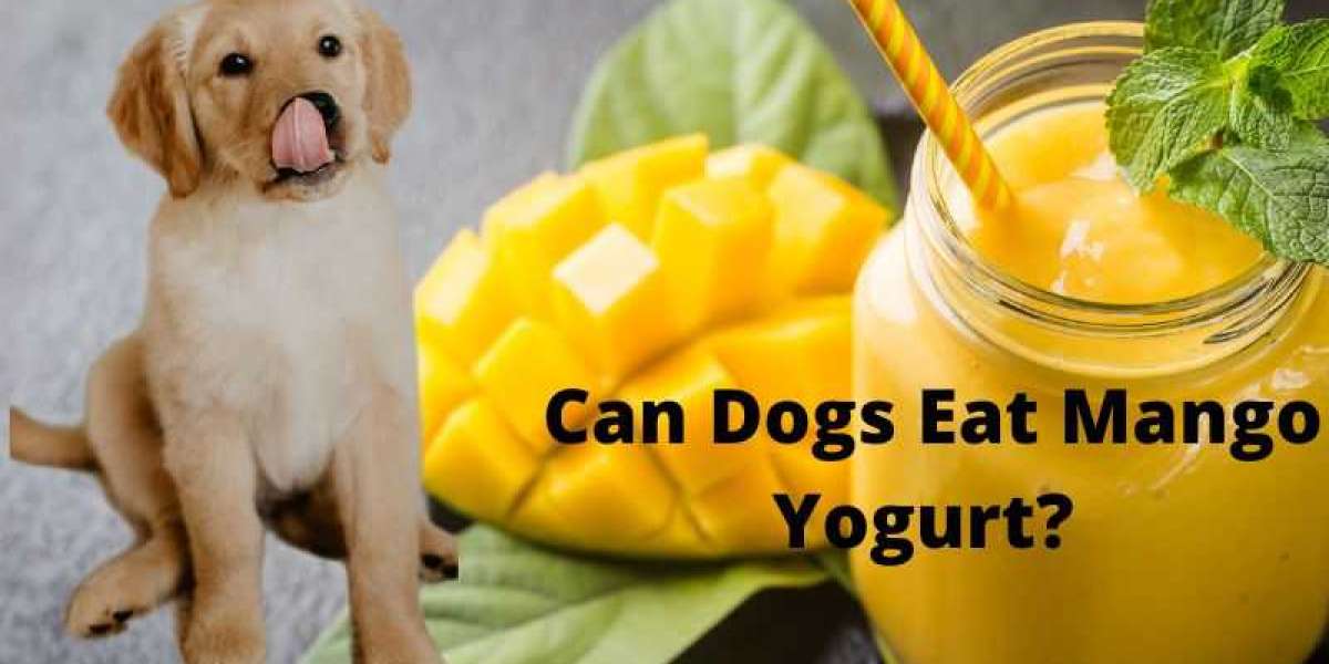 Things To Know About Dogs Eat Star Apple?