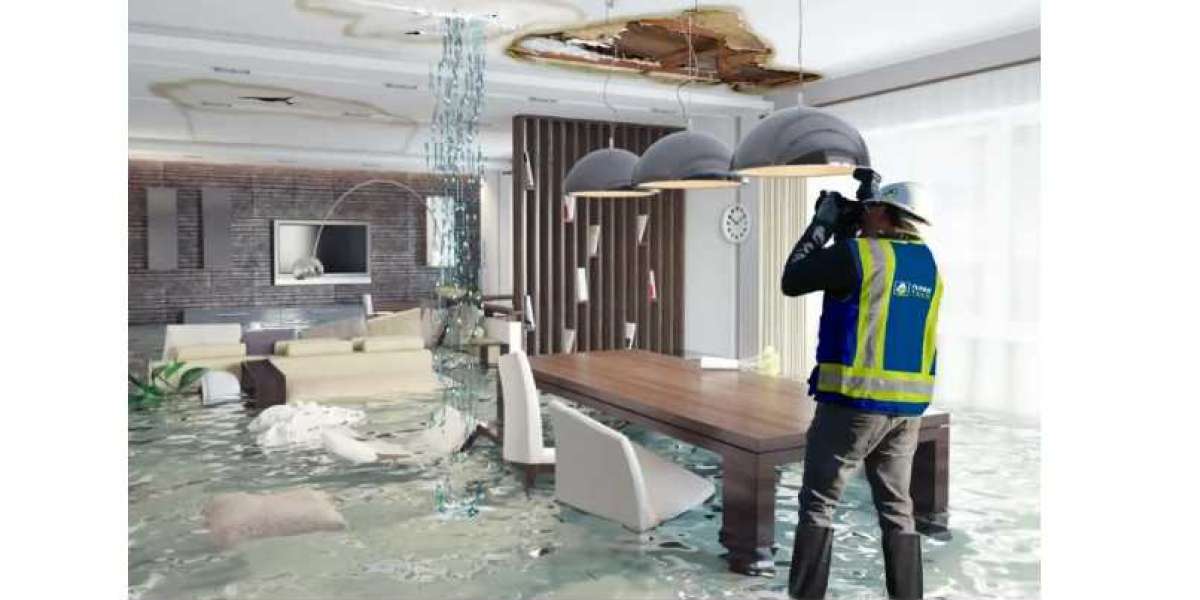 What Makes a Water Damage Services Expert Needed?
