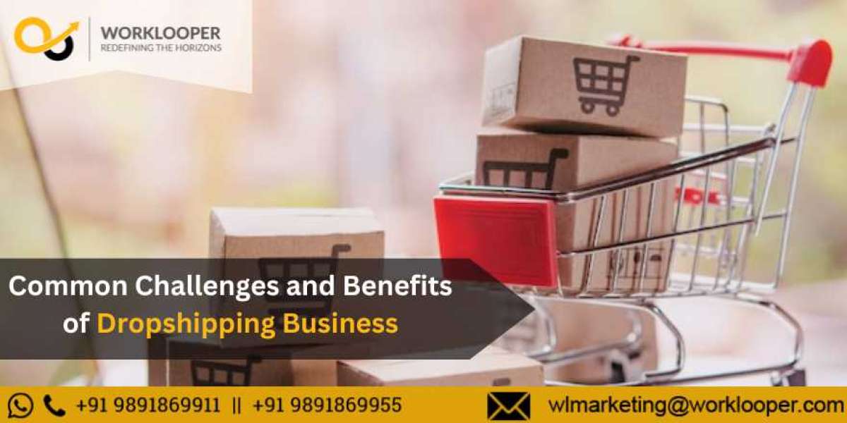 Common Challenges and Benefits of Dropshipping Business
