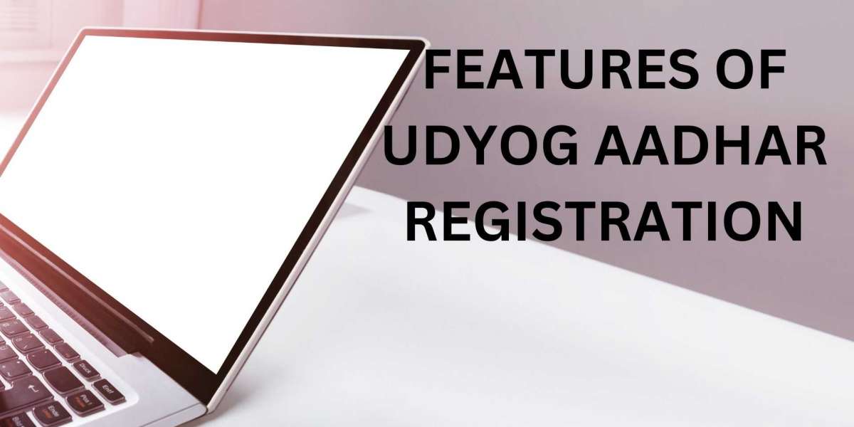 FEATURES OF UDYOG AADHAR REGISTRATION