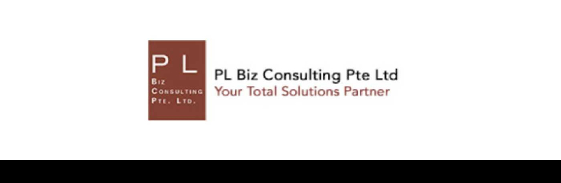 PL Biz Consulting Pte Ltd Cover Image