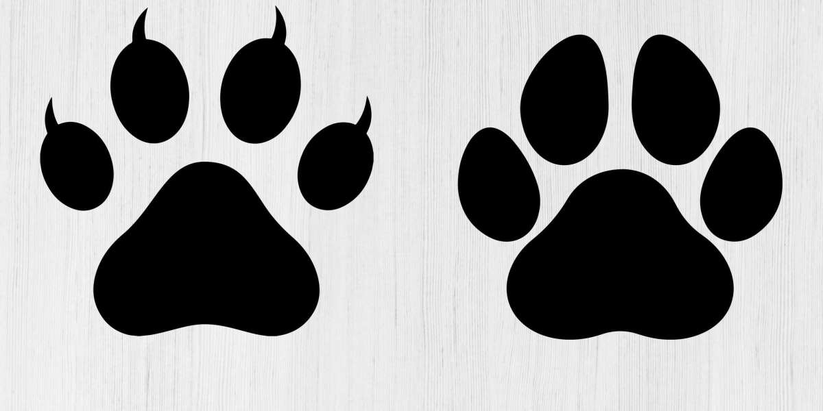 An Ultimate Guide About pawprint cat