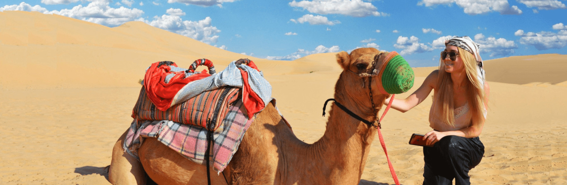 Desert safari Abu Dhabi Cover Image