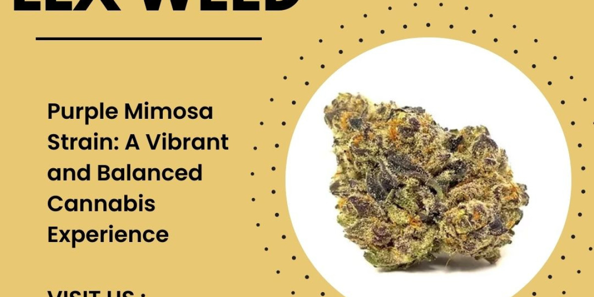  Unleashing the Potential of Purple Mimosa Strain