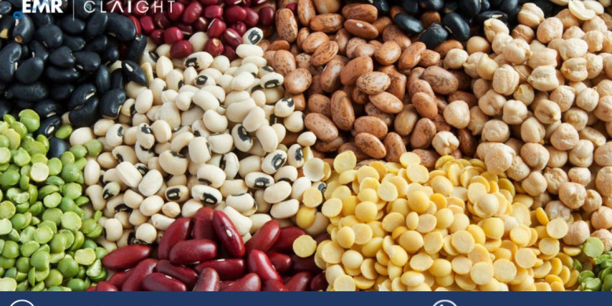 Exploring the Dried Beans Market: Your Guide to Healthy Choices