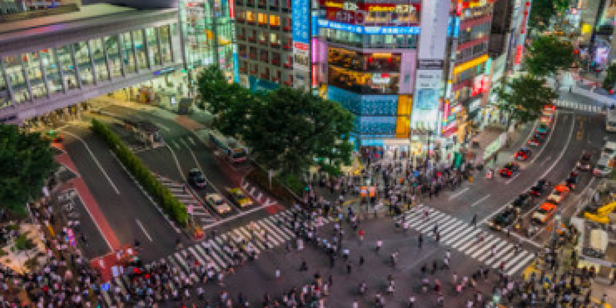 Embrace the Spirit of Tokyo with Personalized Tours