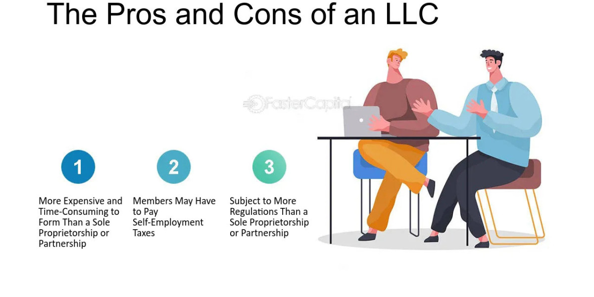 All You Need to Know About an LLC Before You Start One