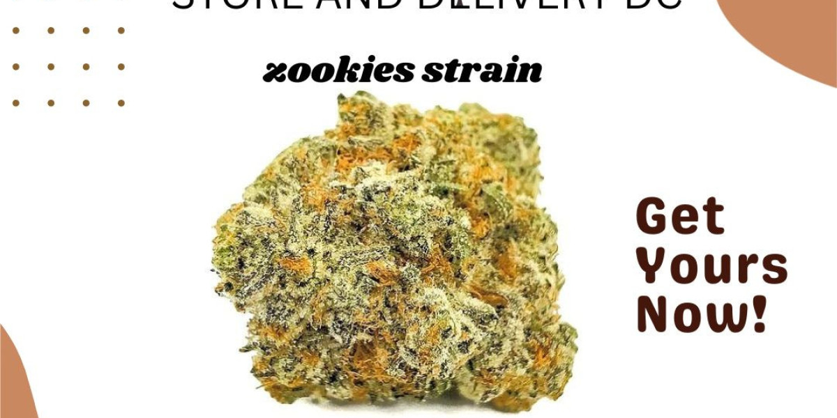 Exploring Zookies Strain: A Comprehensive Guide