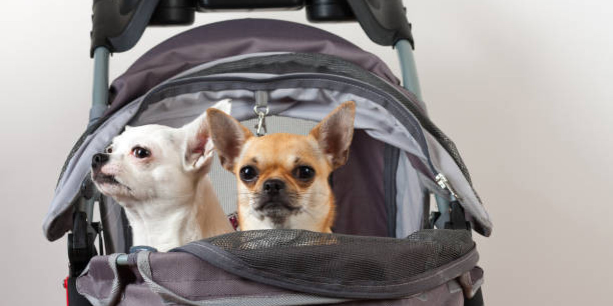 Ensuring Comfort and Safety: The Role of Dog Transportation Services