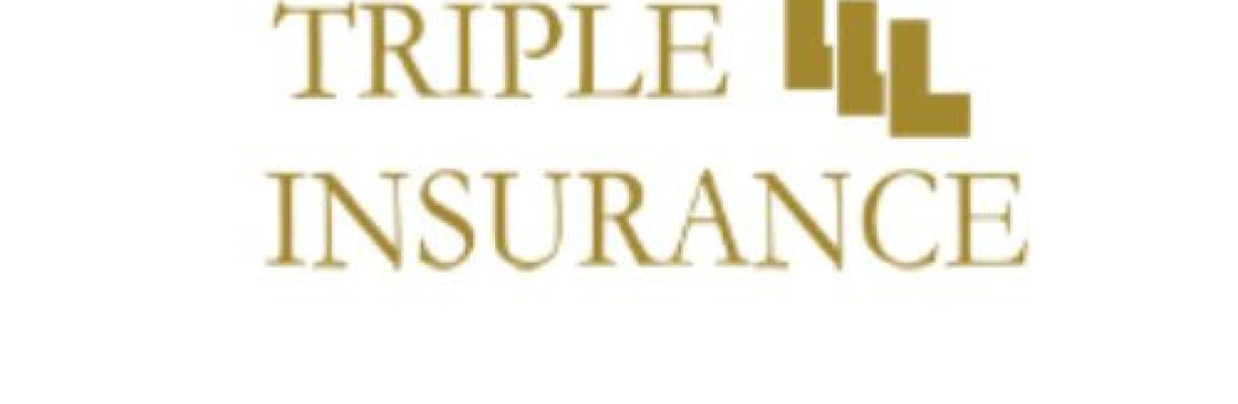 Triple L Insurance Home Insurance Calculator Palm C Cover Image