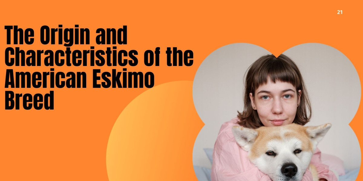 The Origin and Characteristics of the American Eskimo Breed