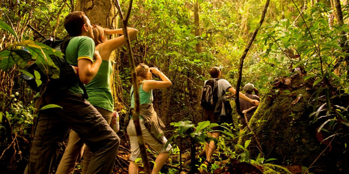 What Unique Experiences Can You Expect on a Manu Jungle Trips?