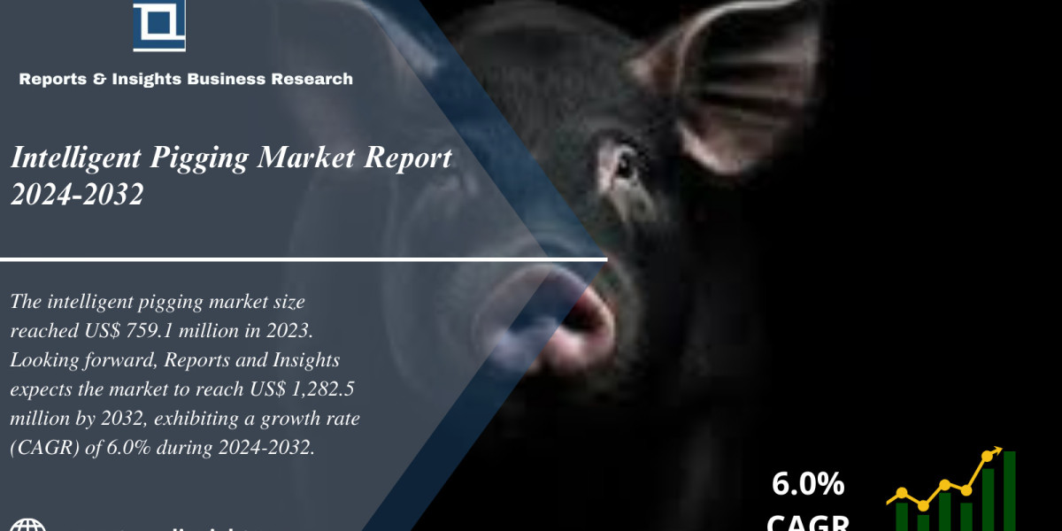 Intelligent Pigging Market Growth, Global Size, Share, Trends and Analysis 2024 to 2032