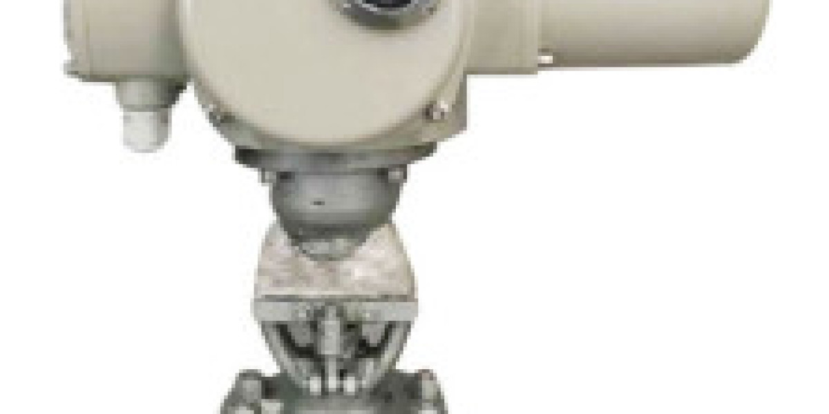Electric Actuated Globe Valve supplier in Brazil