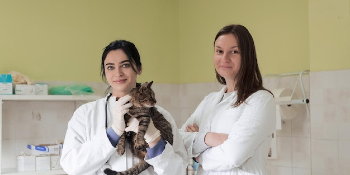 What should I consider when selecting a local vet clinic?
