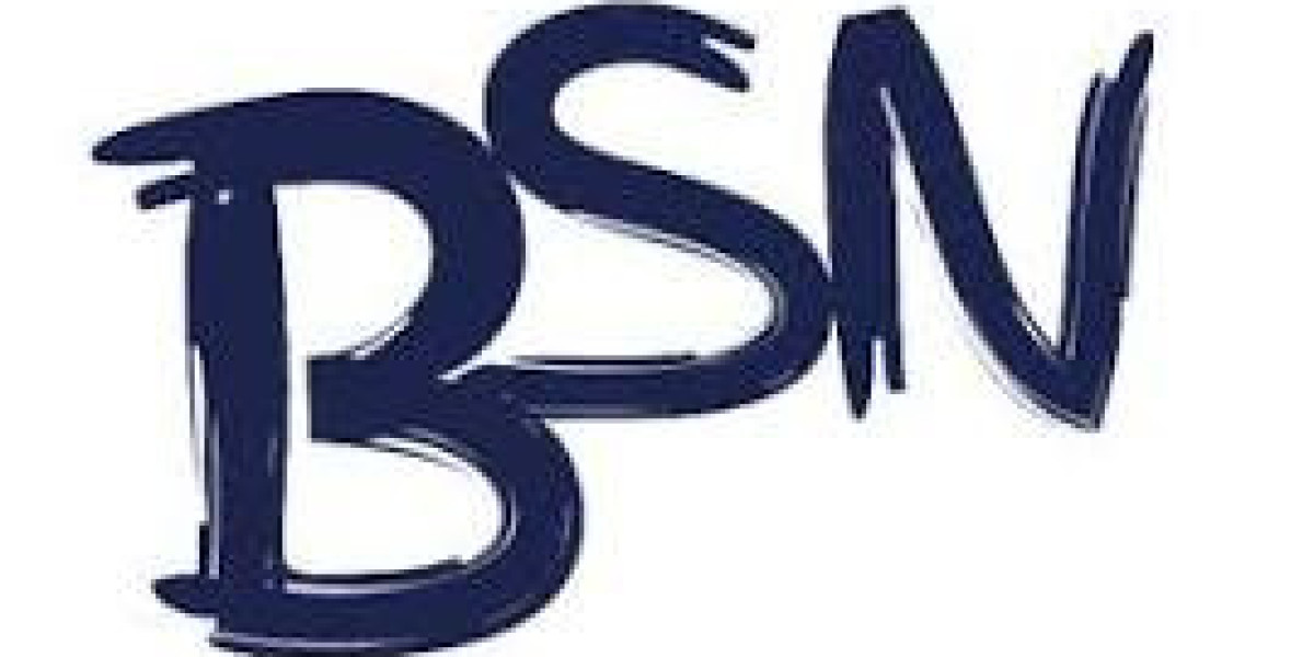 Comprehensive Guide to BSN Writing Services