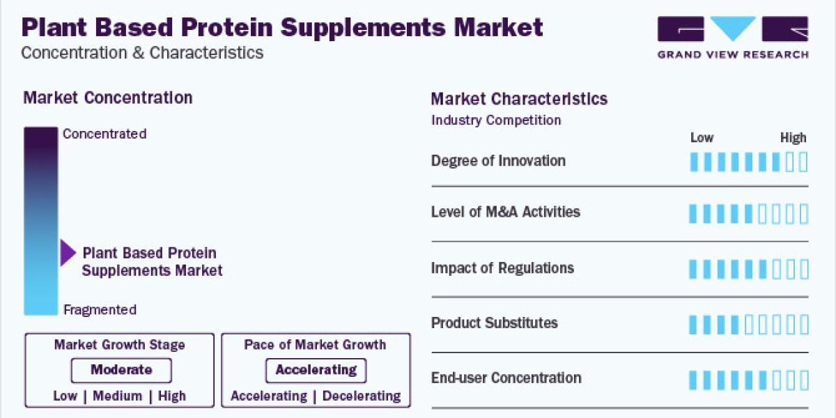 Plant Based Protein Supplements Market Outlook, and Future Industry Analysis 2030