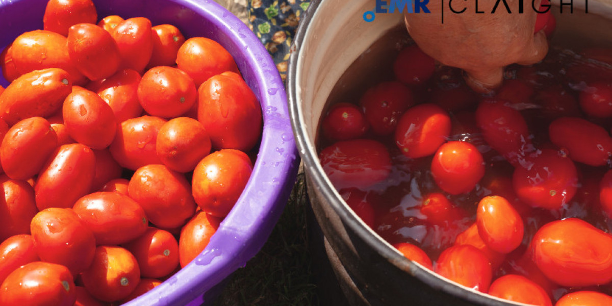 The Tomato Processing Market: Trends, Growth, and Future Prospects